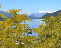 Room 208 view