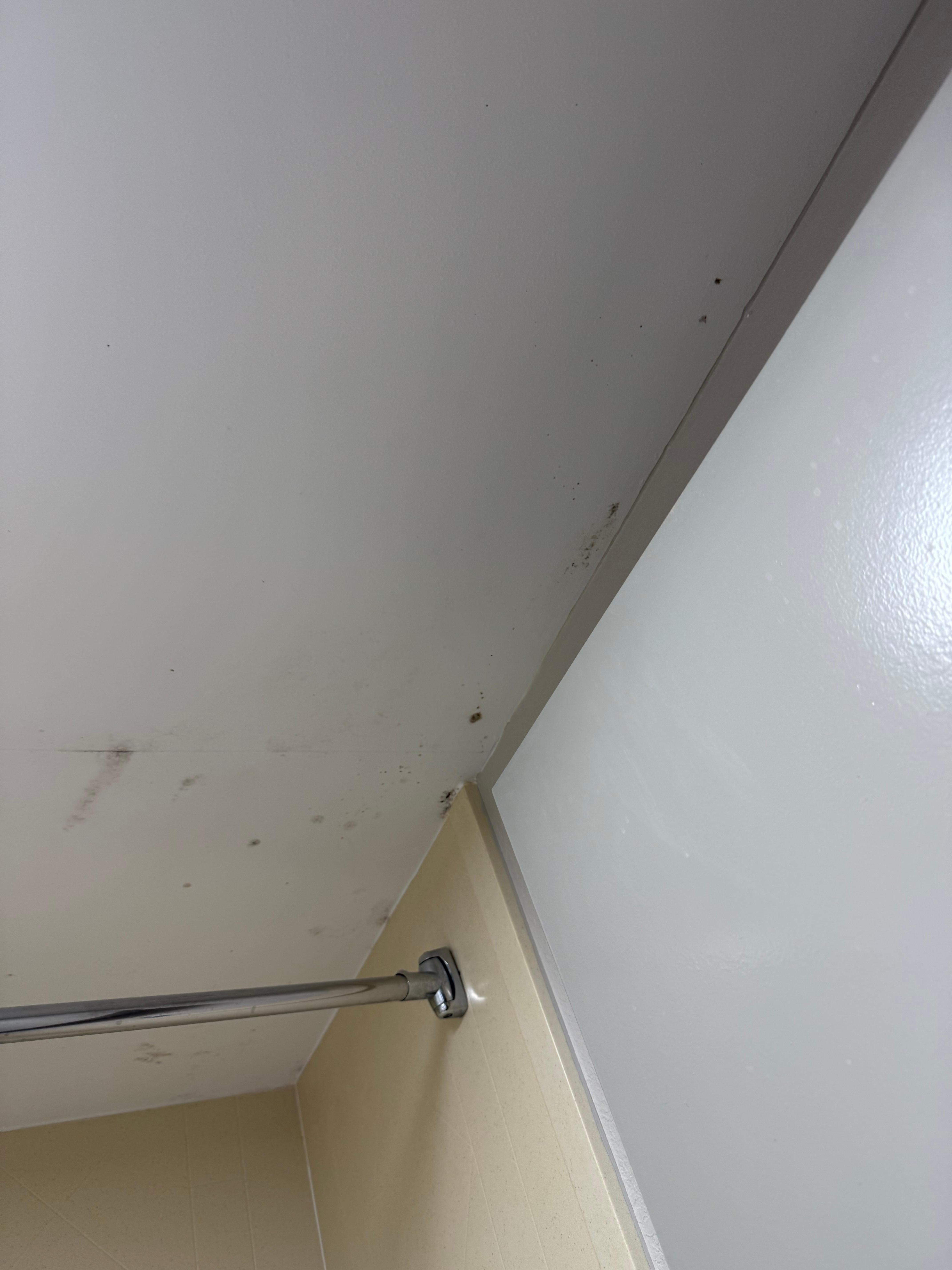 Mold in bathroom