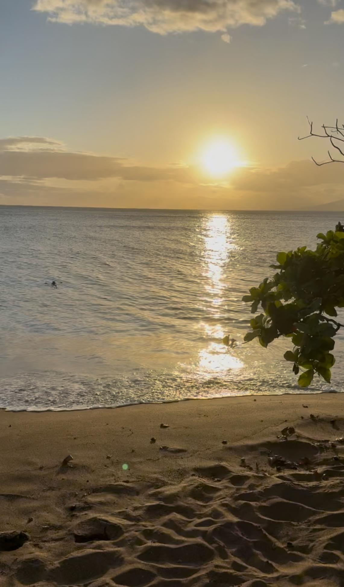 Great swimming beaches right in front of rssort