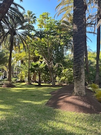 Wonderful grounds