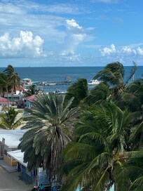 View from rooftop😍!