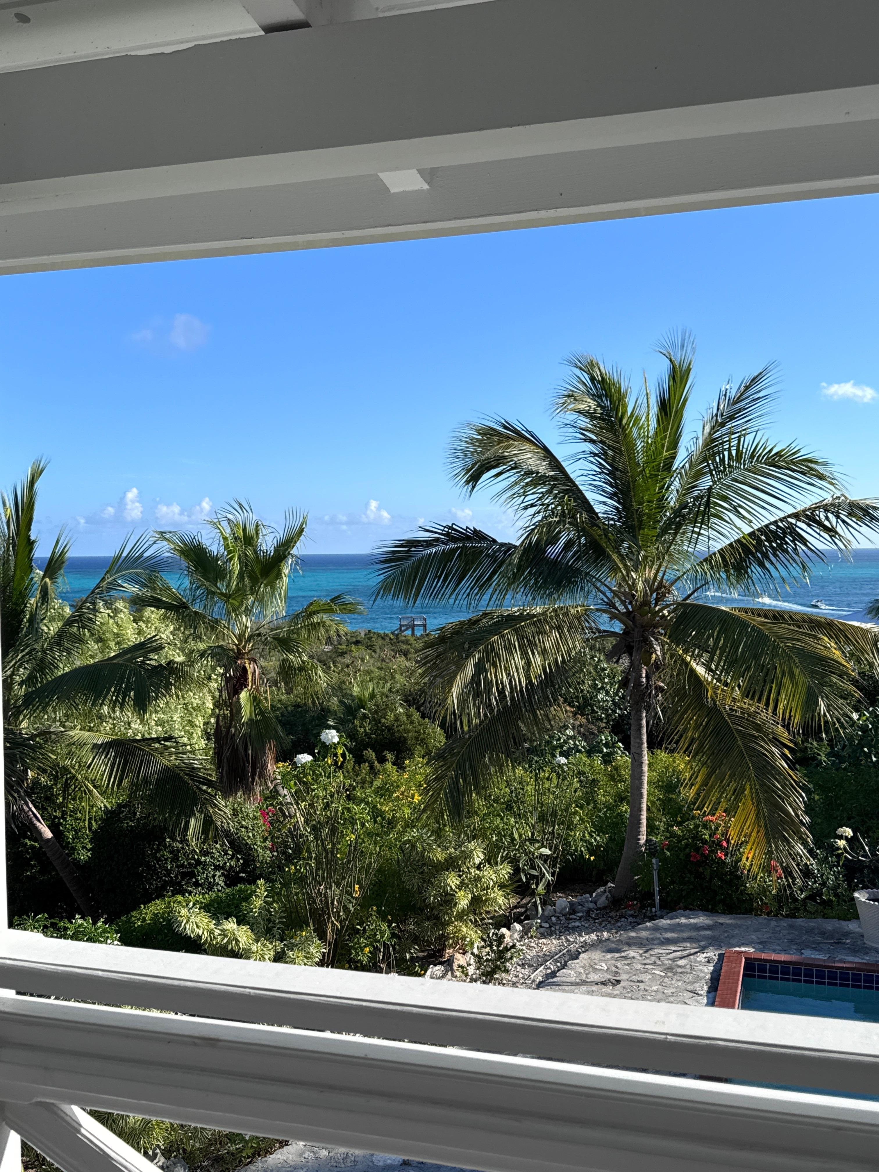  View from the veranda