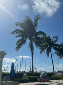 Beautiful and clean property located on the marina