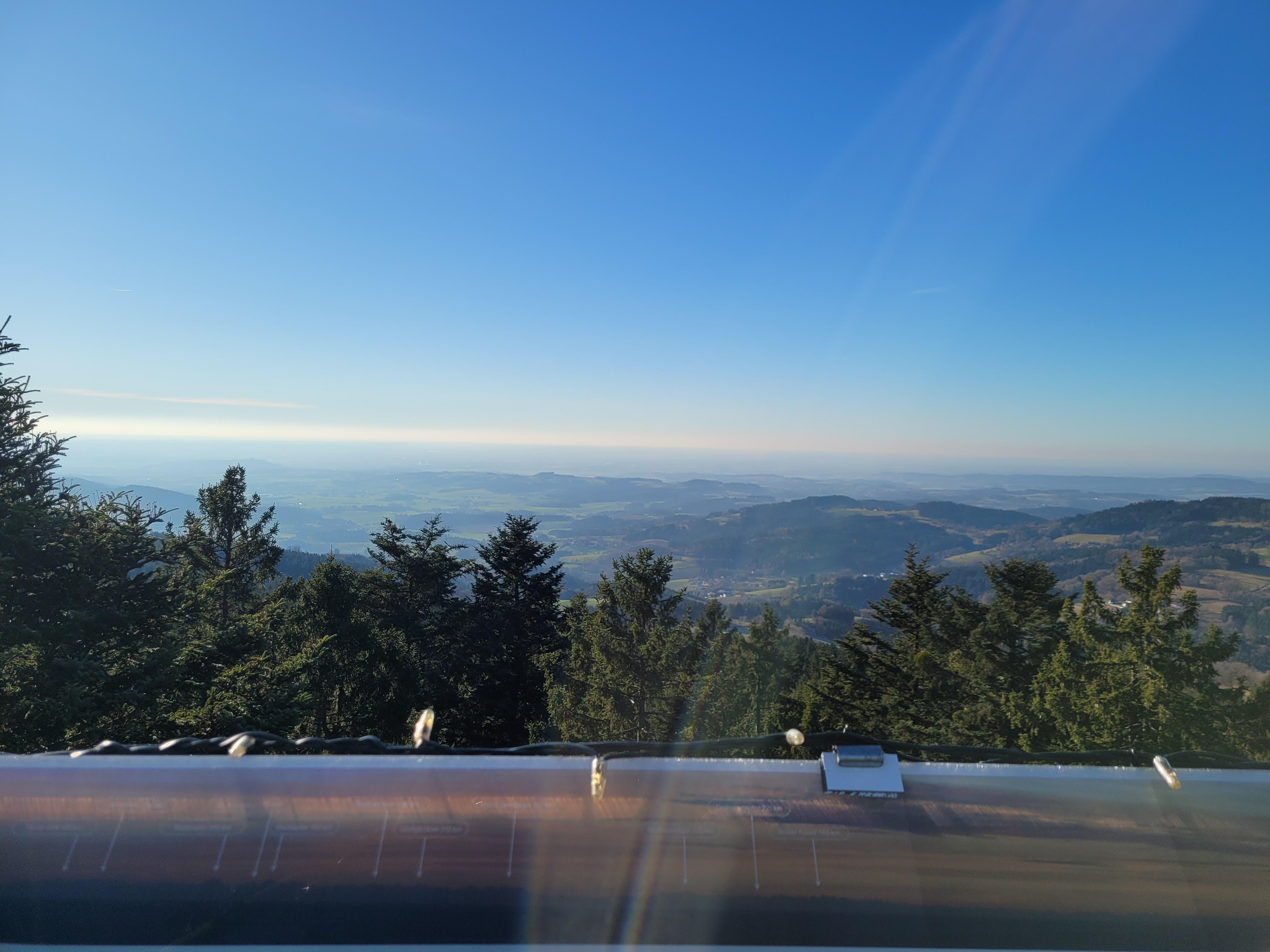 Waldwipfelpfad in der Nähe