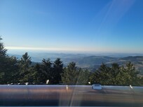 Waldwipfelpfad in der Nähe