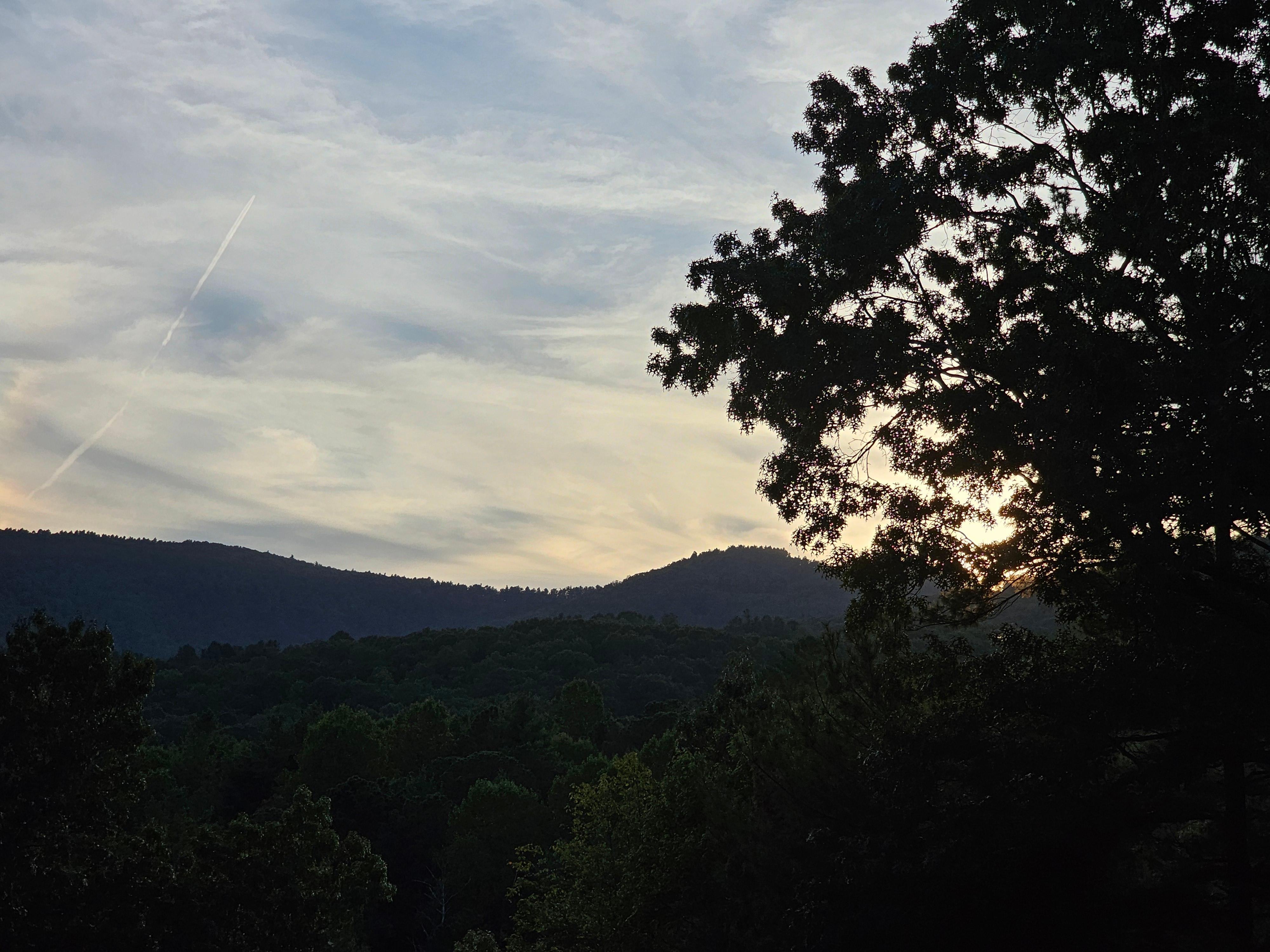 View from back porch 