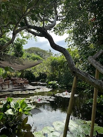 Grounds