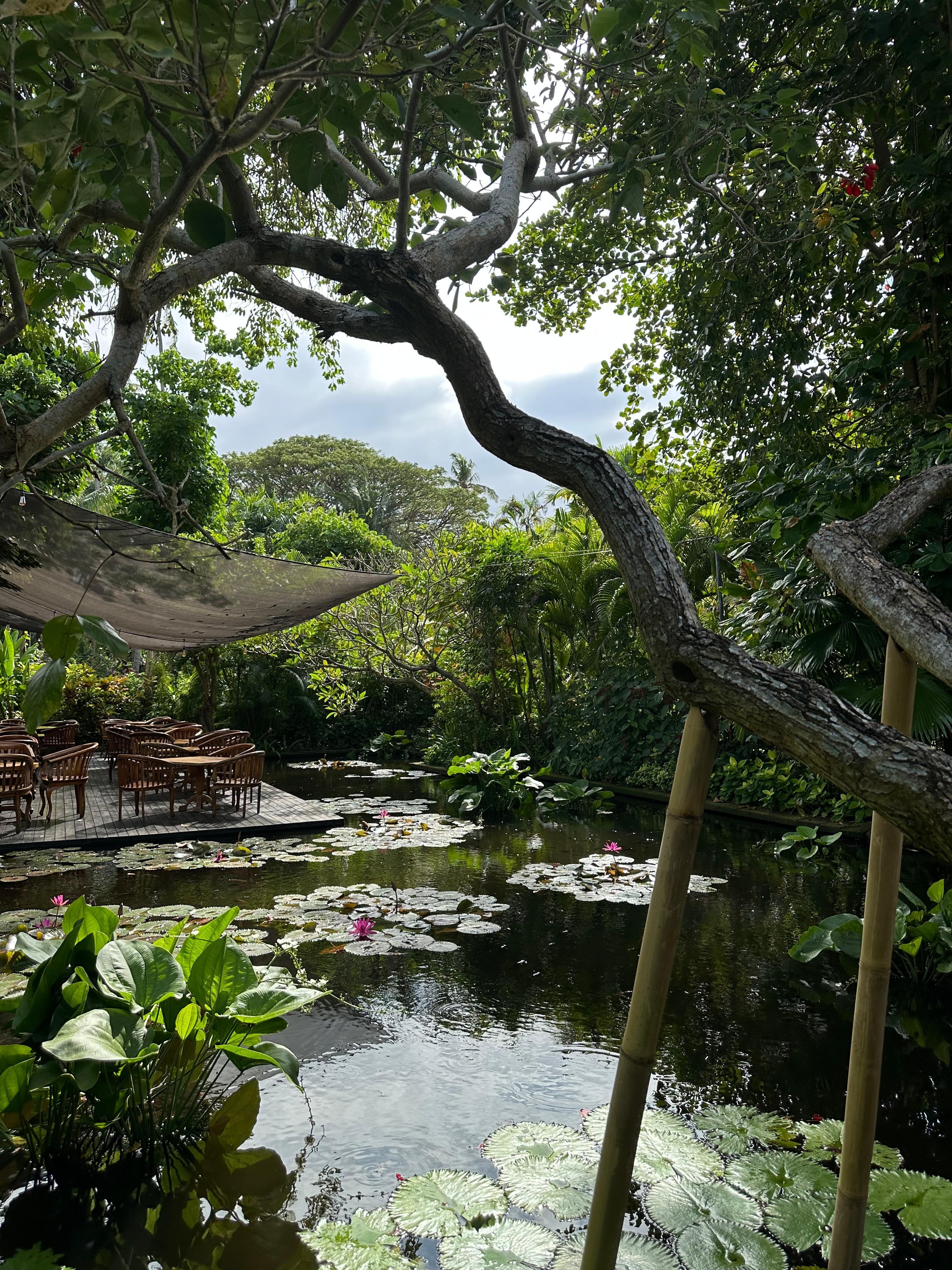 Grounds