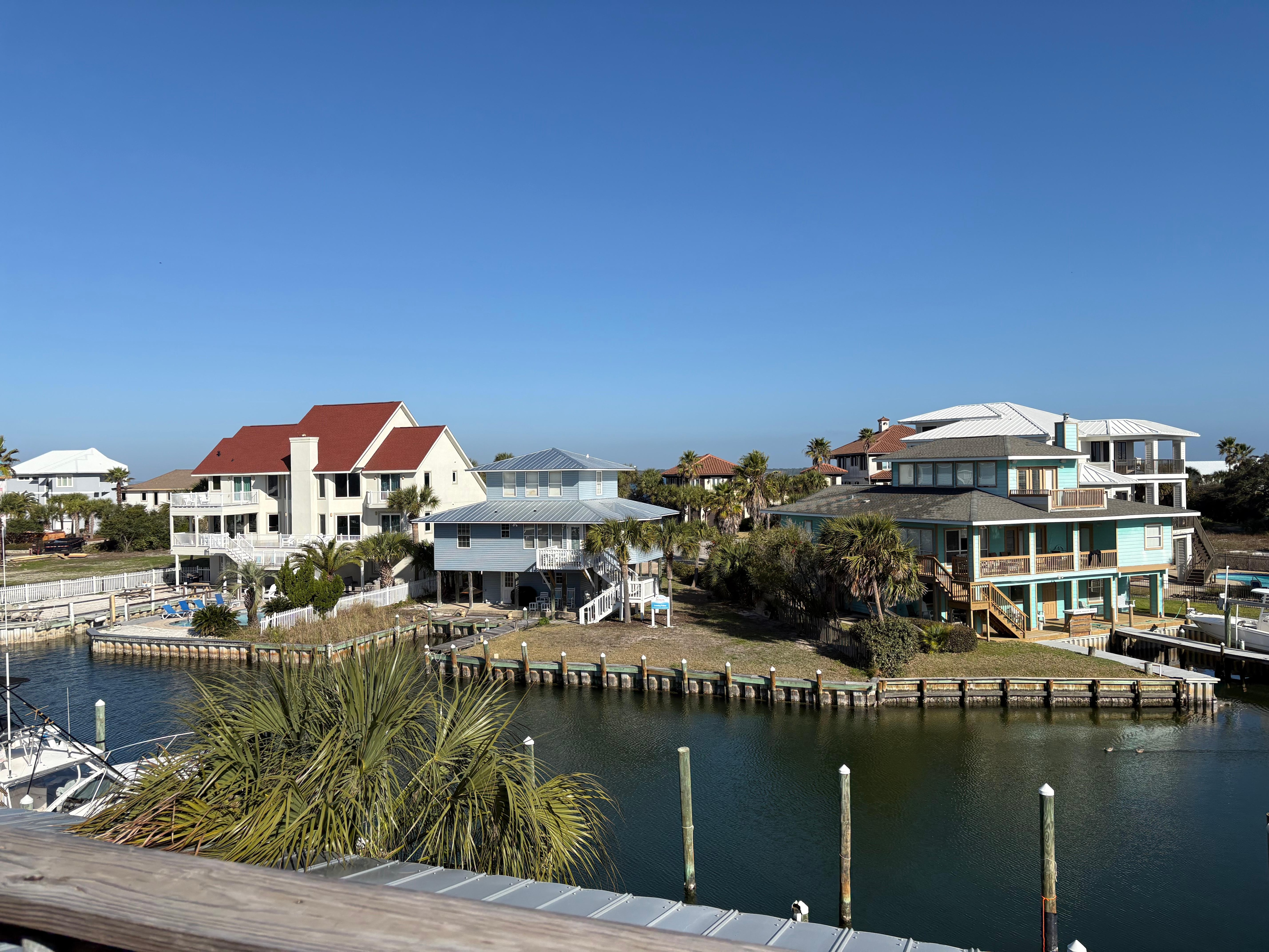 View from back porch