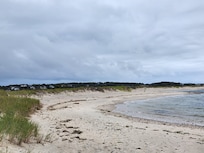 Forest Beach
