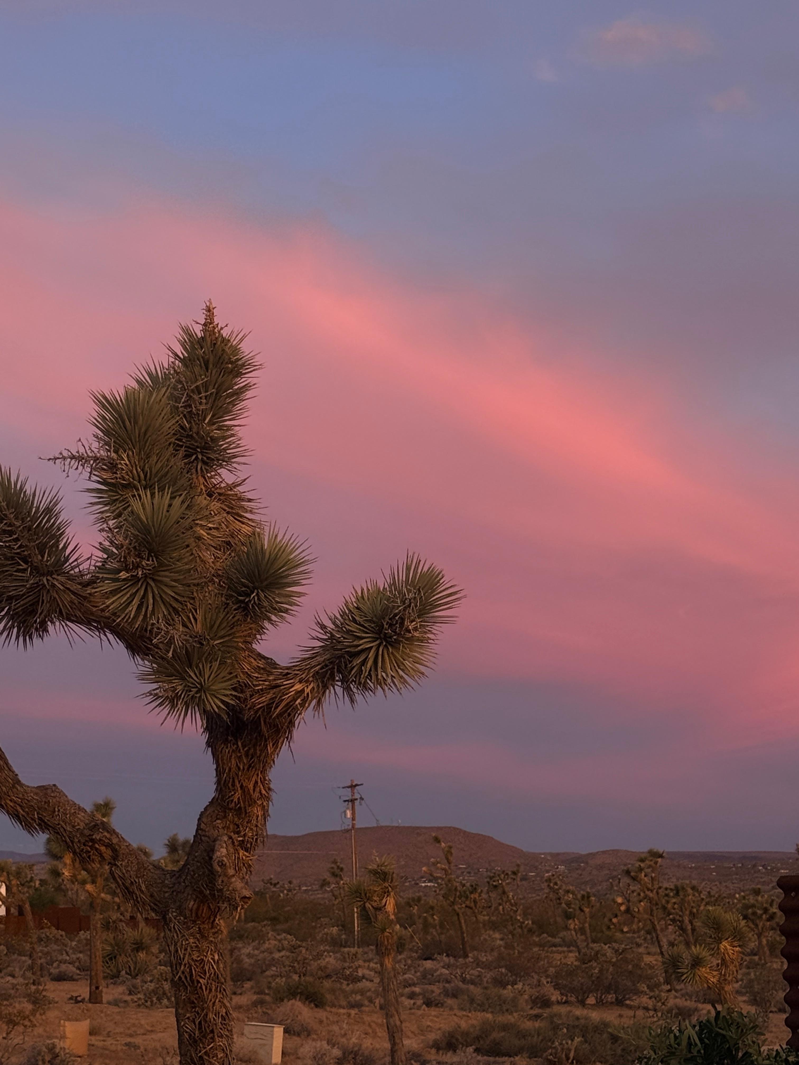 Sunrise on our last day 