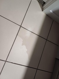 dishwasher leaking onto kitchen floor