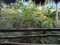 View from casita balcony