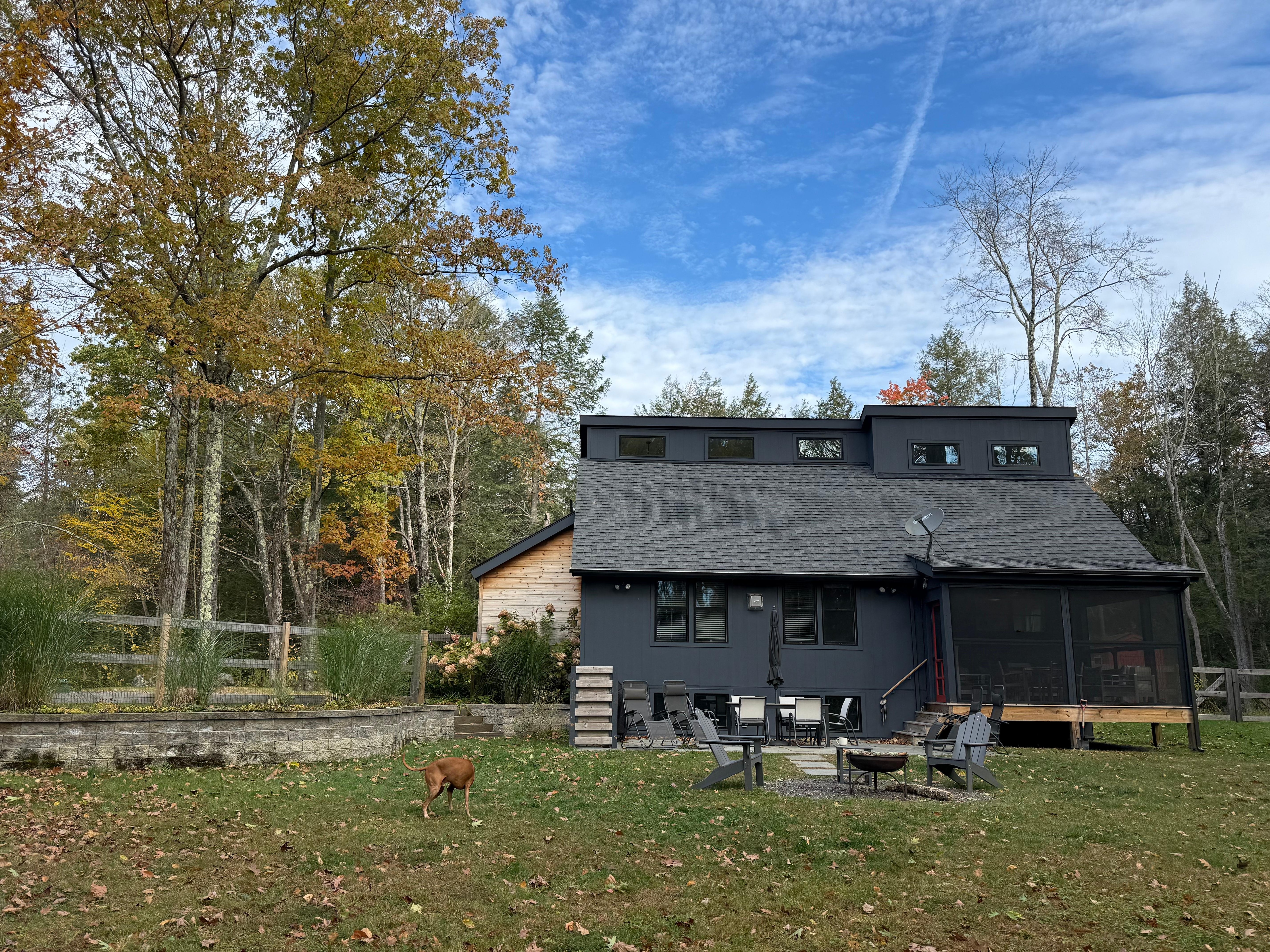 View of the fenced-in back yard.