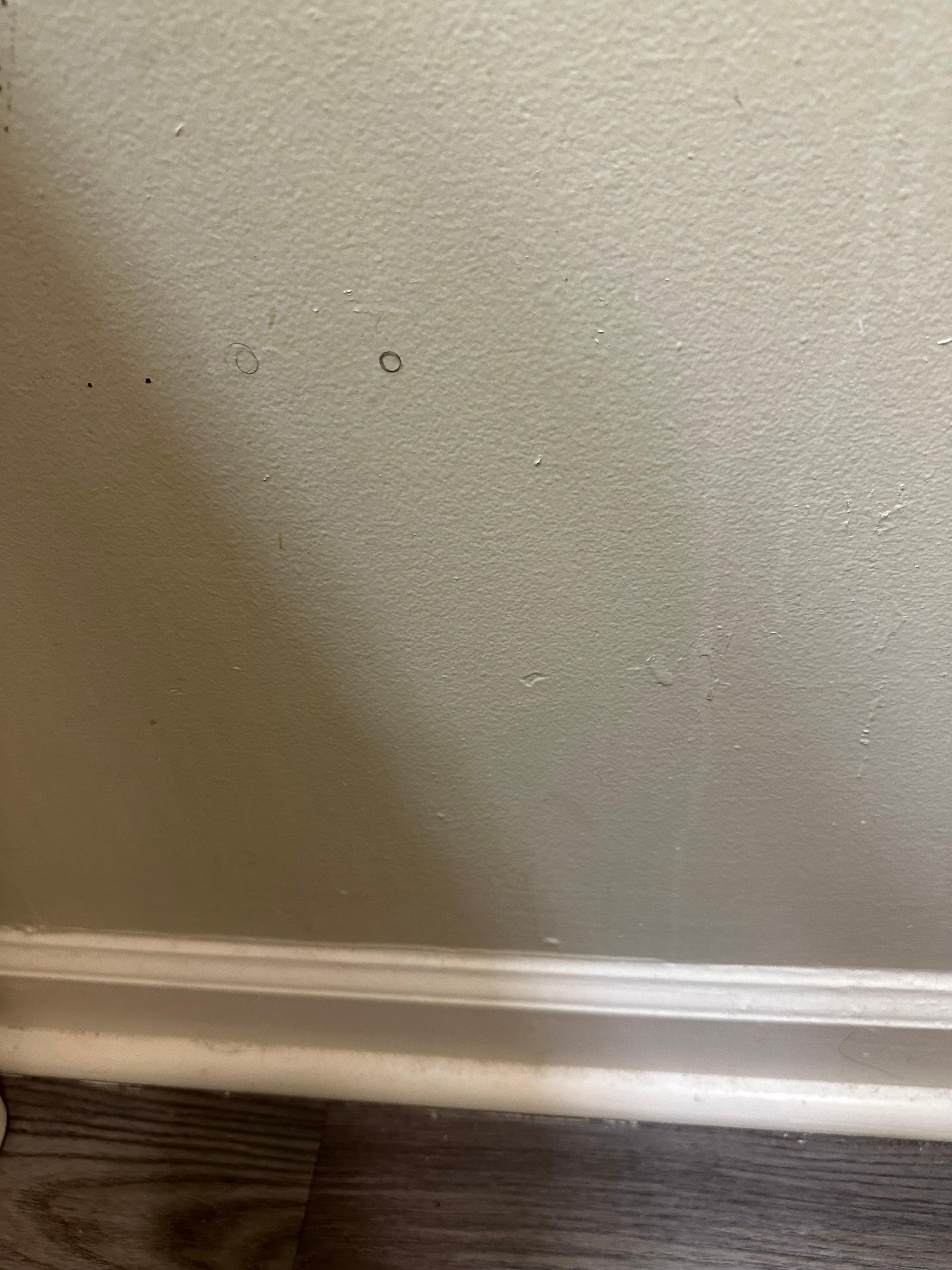 Hair in bathroom