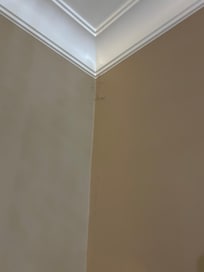 Dust bunnies / cobwebs in every corner of the bedroom.