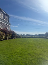 Side yard, perfect place for reading with a book!