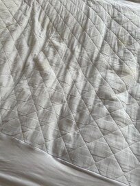 This is what we had to sleep on