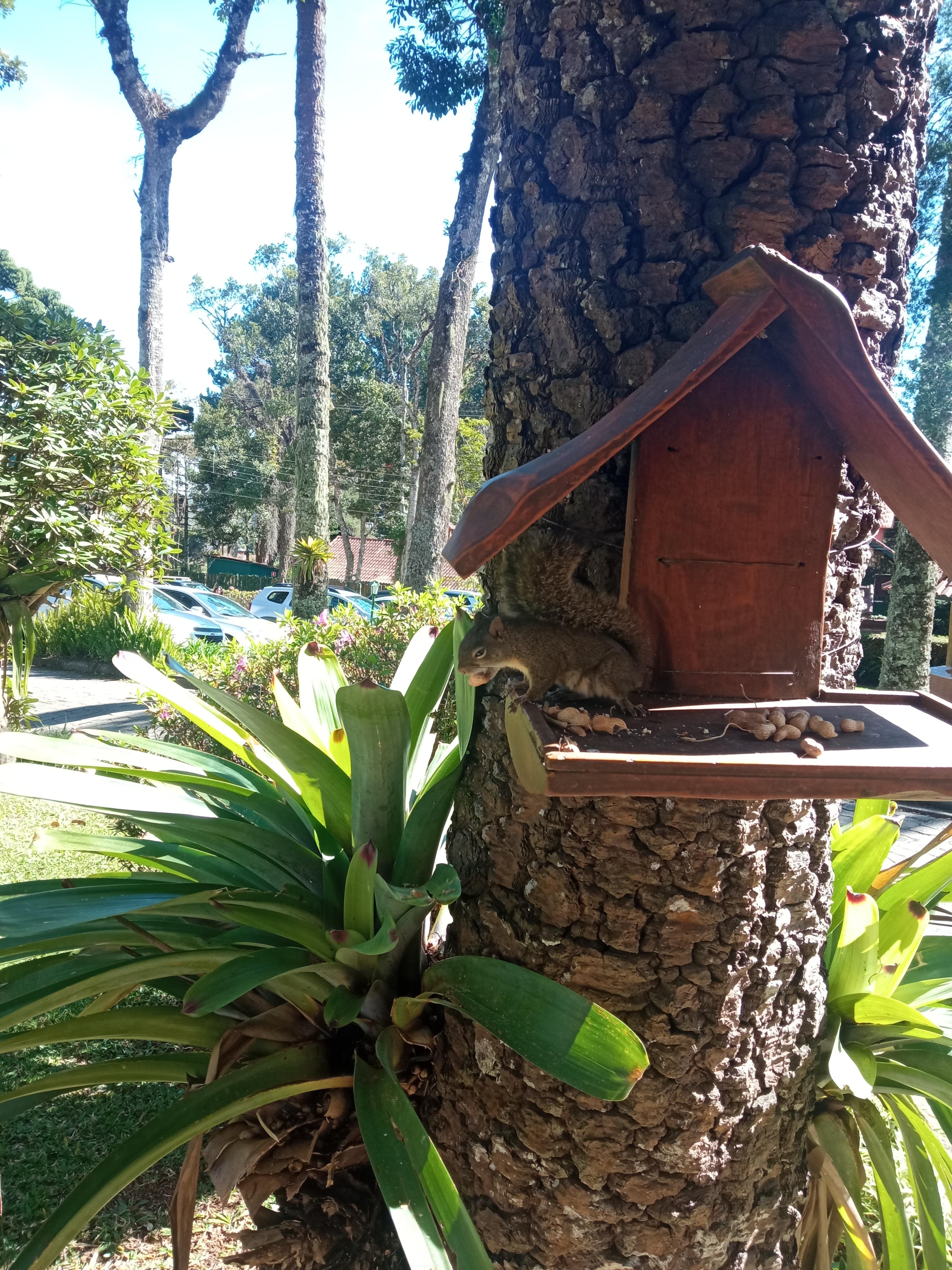Contato com a natureza 