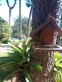 Contato com a natureza