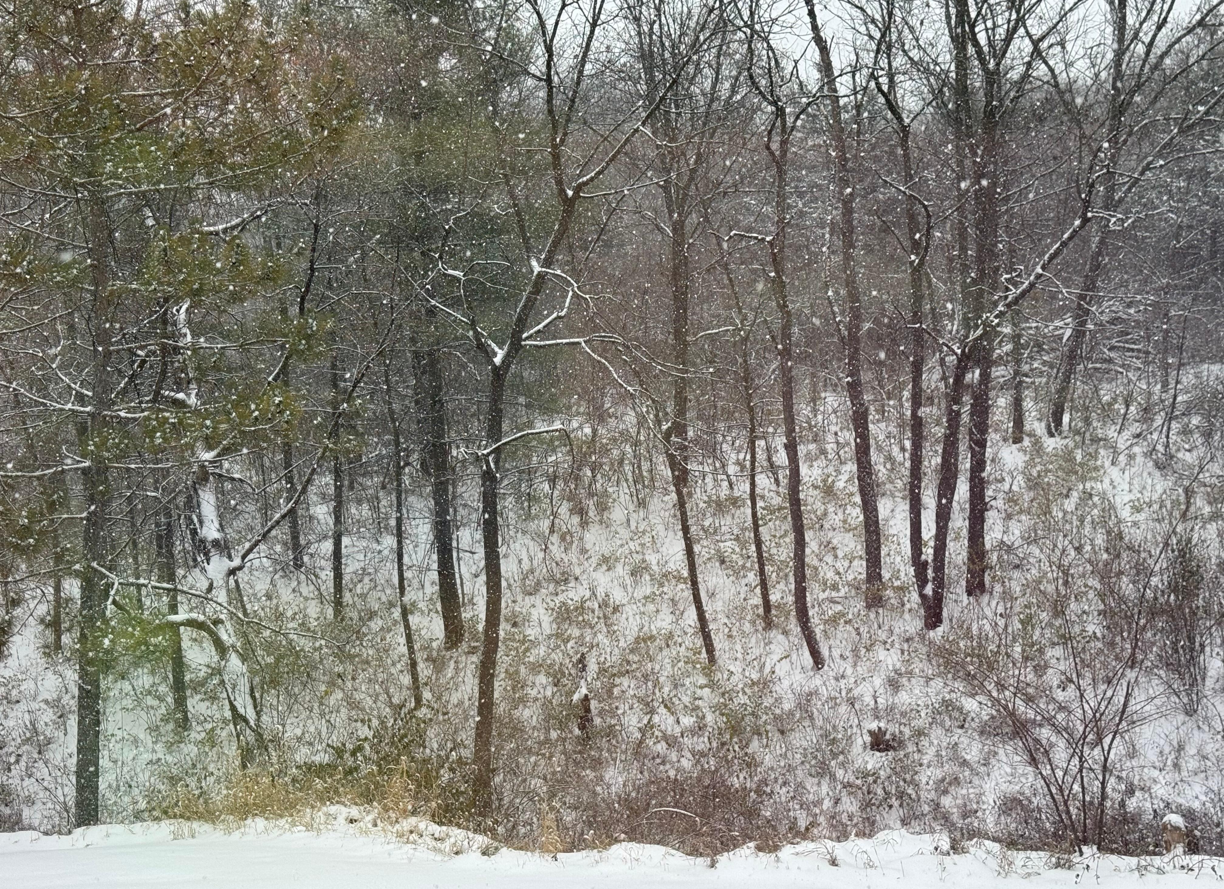 Great home for birdwatching!