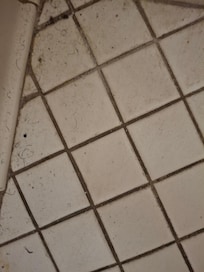The floors