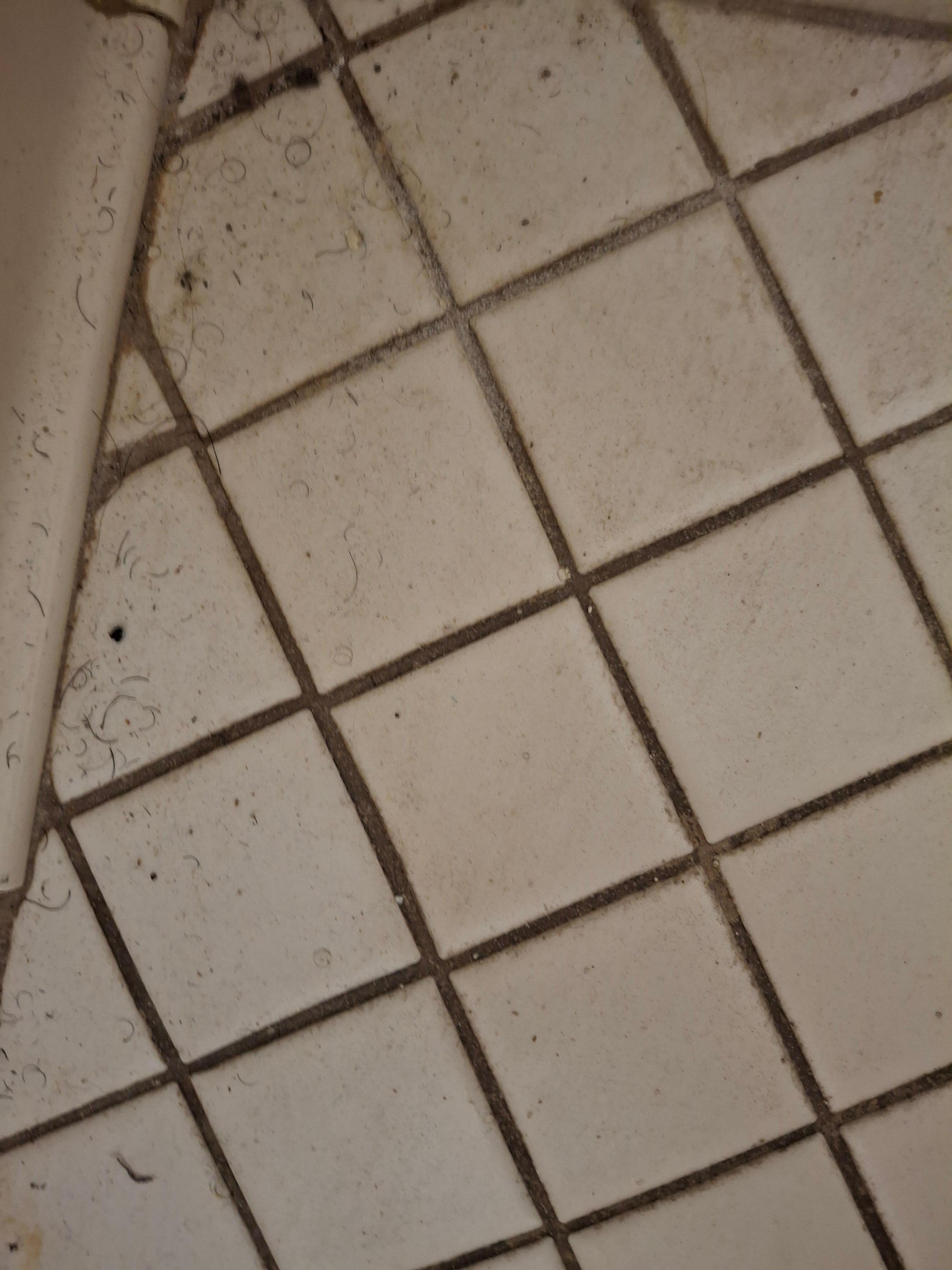 The floors