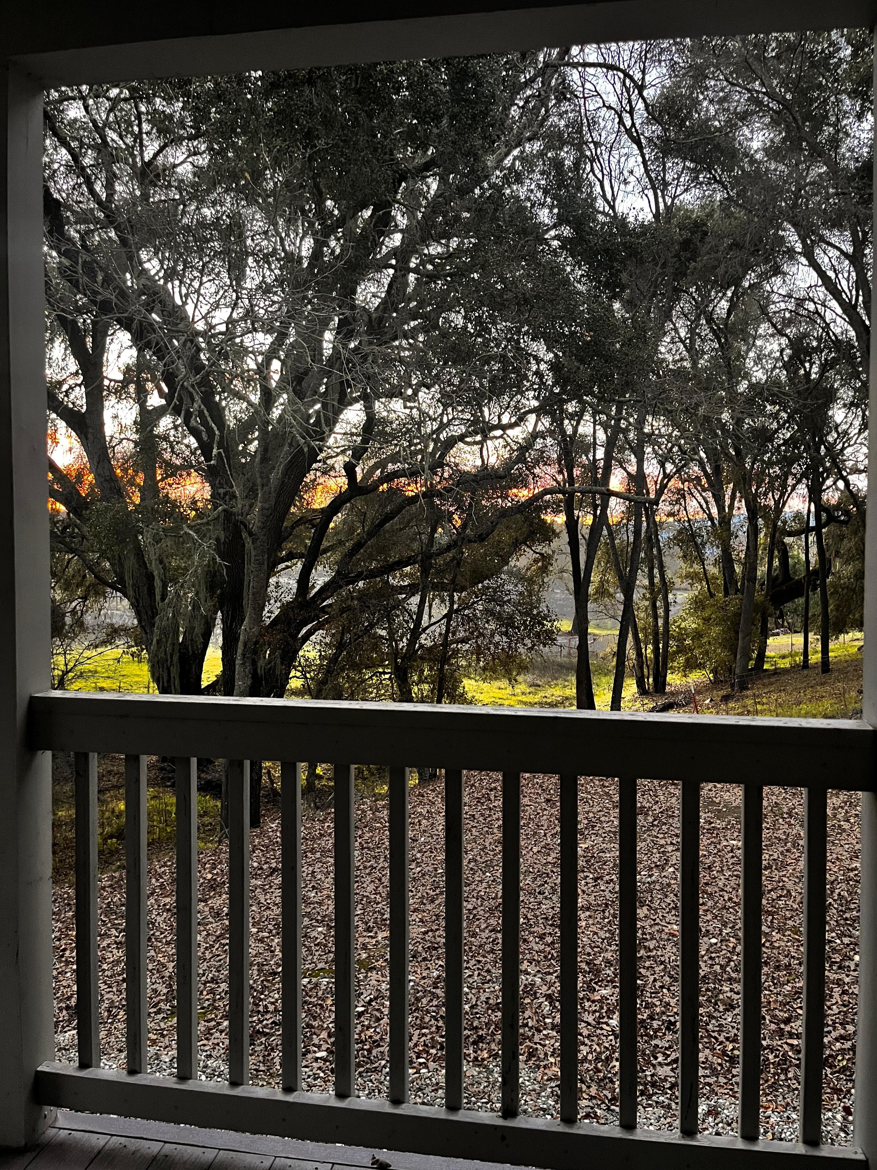 View out the primary bedroom