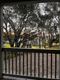 View out the primary bedroom