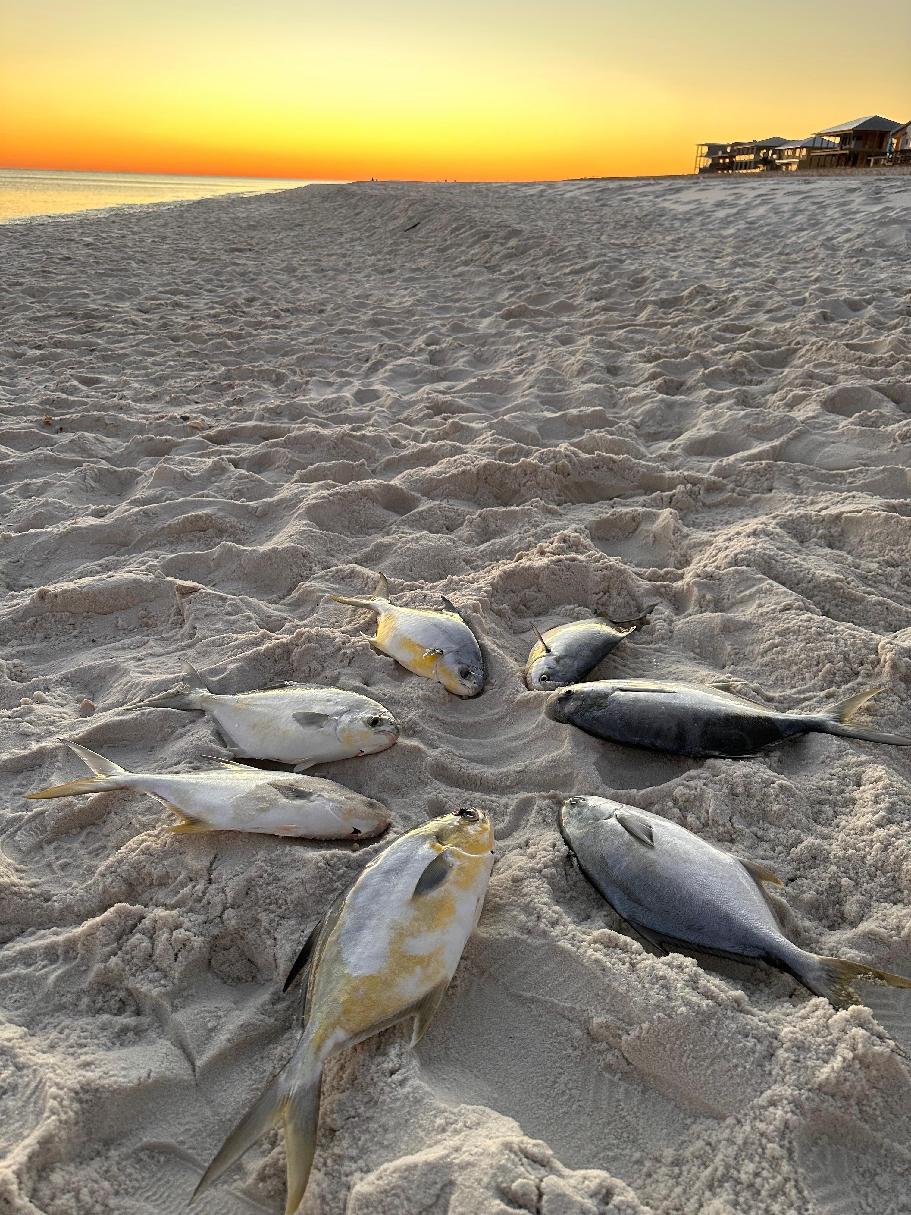 Fishing was enjoyed by the fellas!