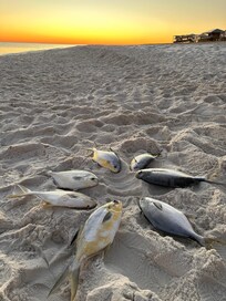 Fishing was enjoyed by the fellas!