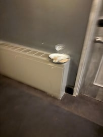 These dishes sat for three days in front of the elevator