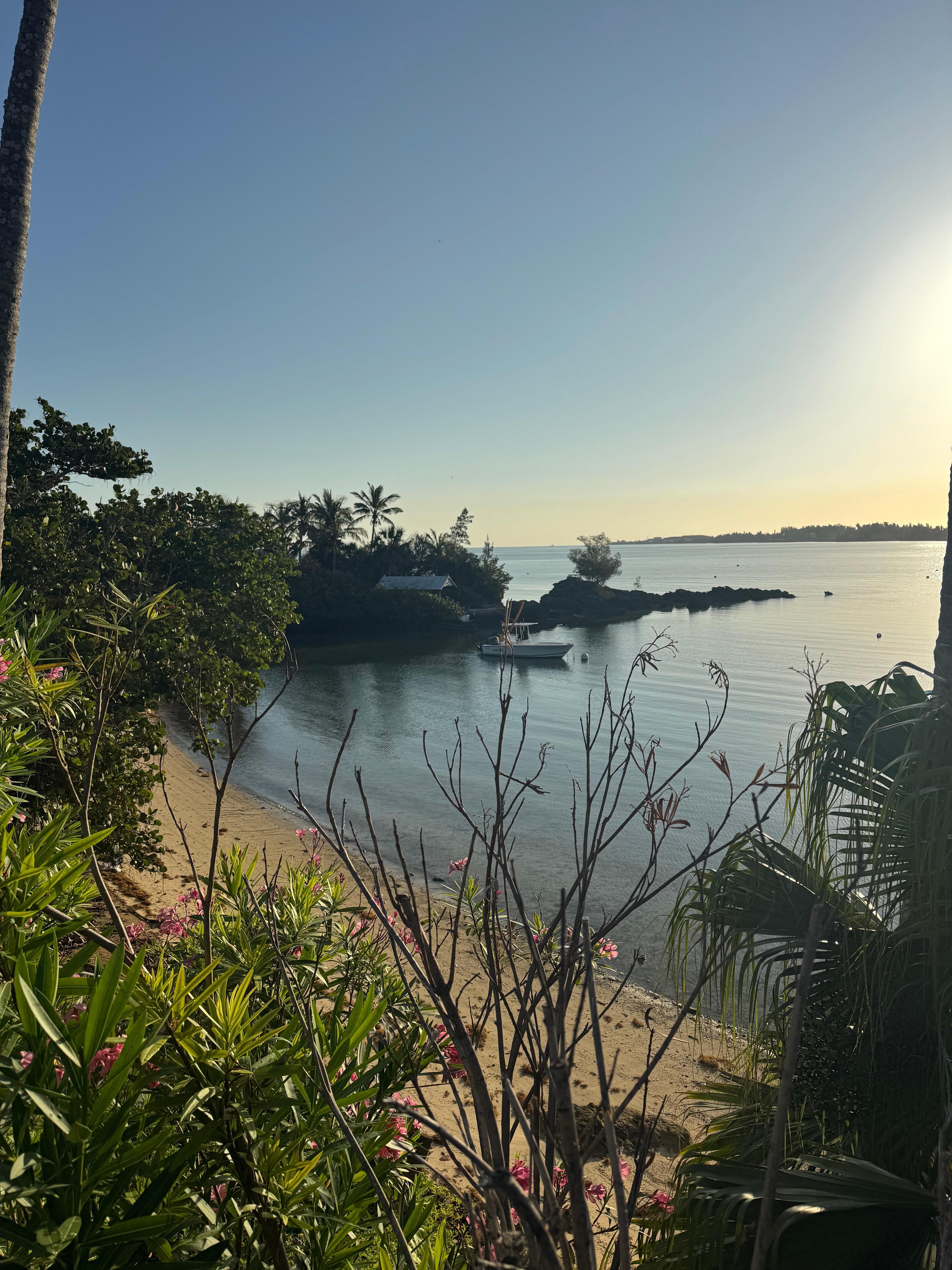 Mangrove bay nearby