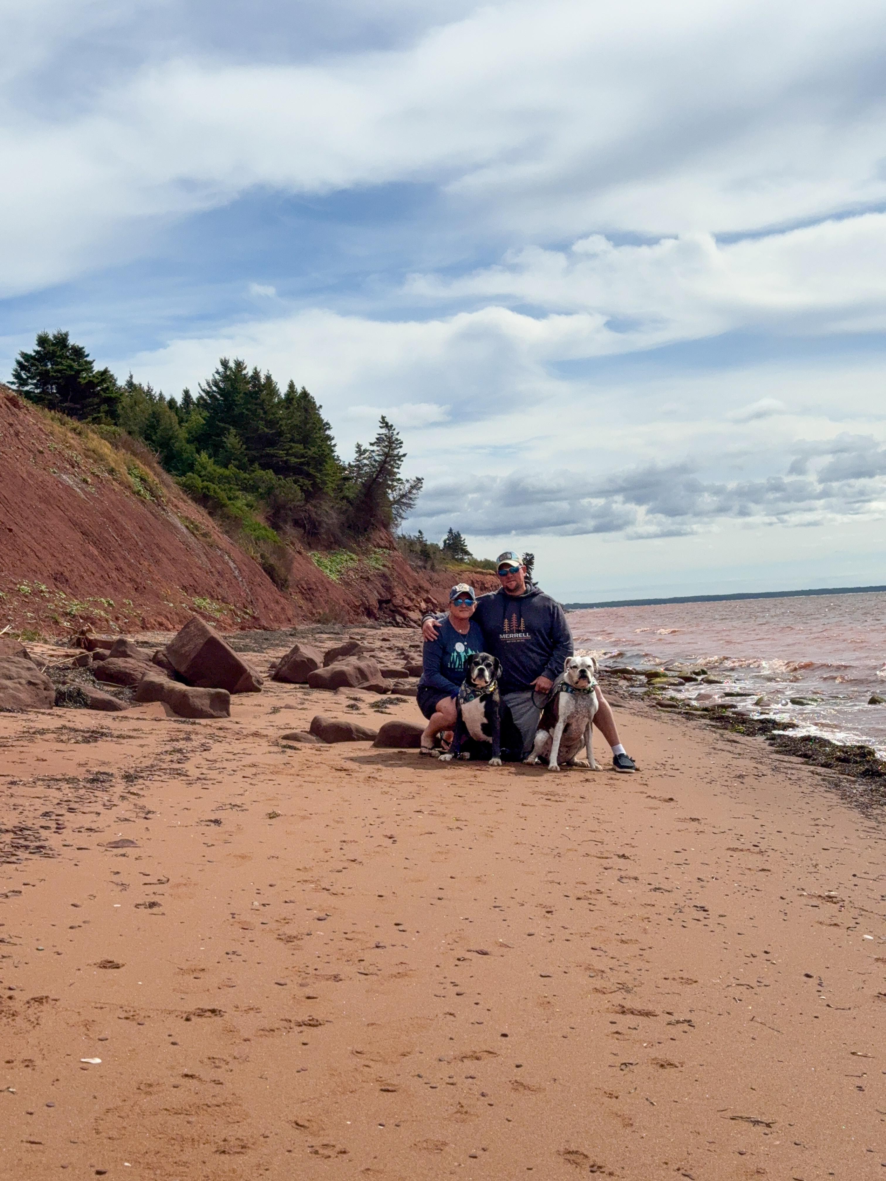The beach in front of the house 