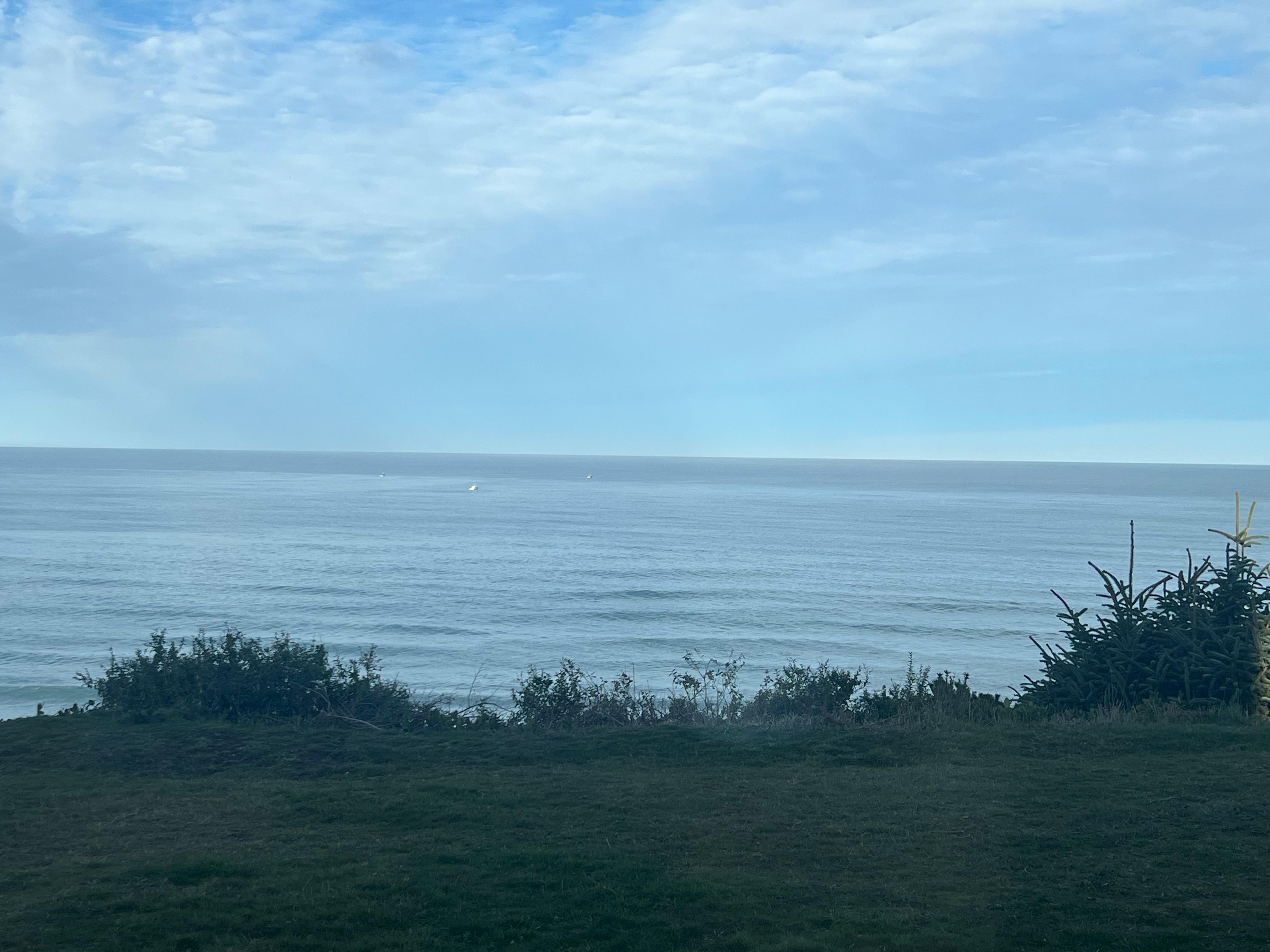 The view from the living room window