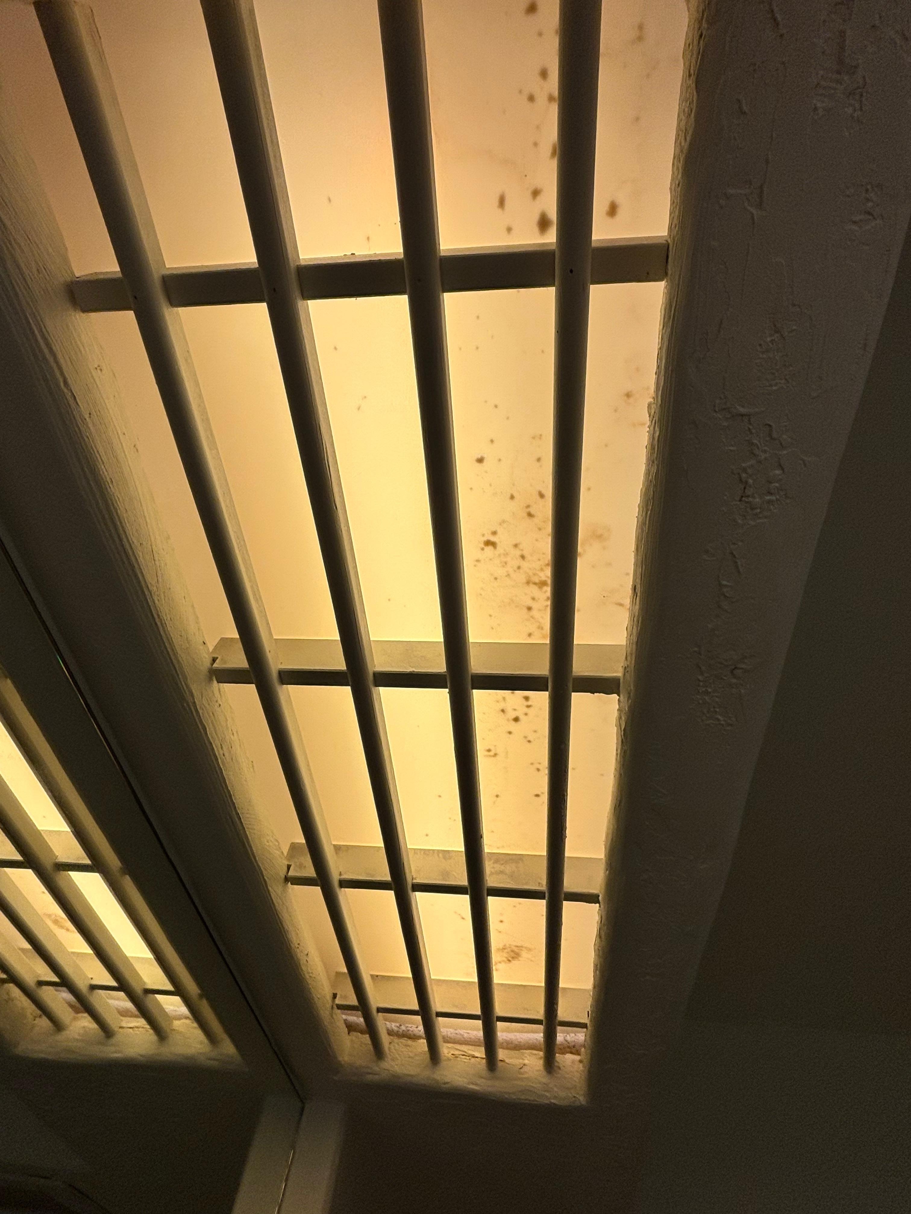 kylight above shower appears dirty and possibly moldy — clearly not cleaned in a long time.