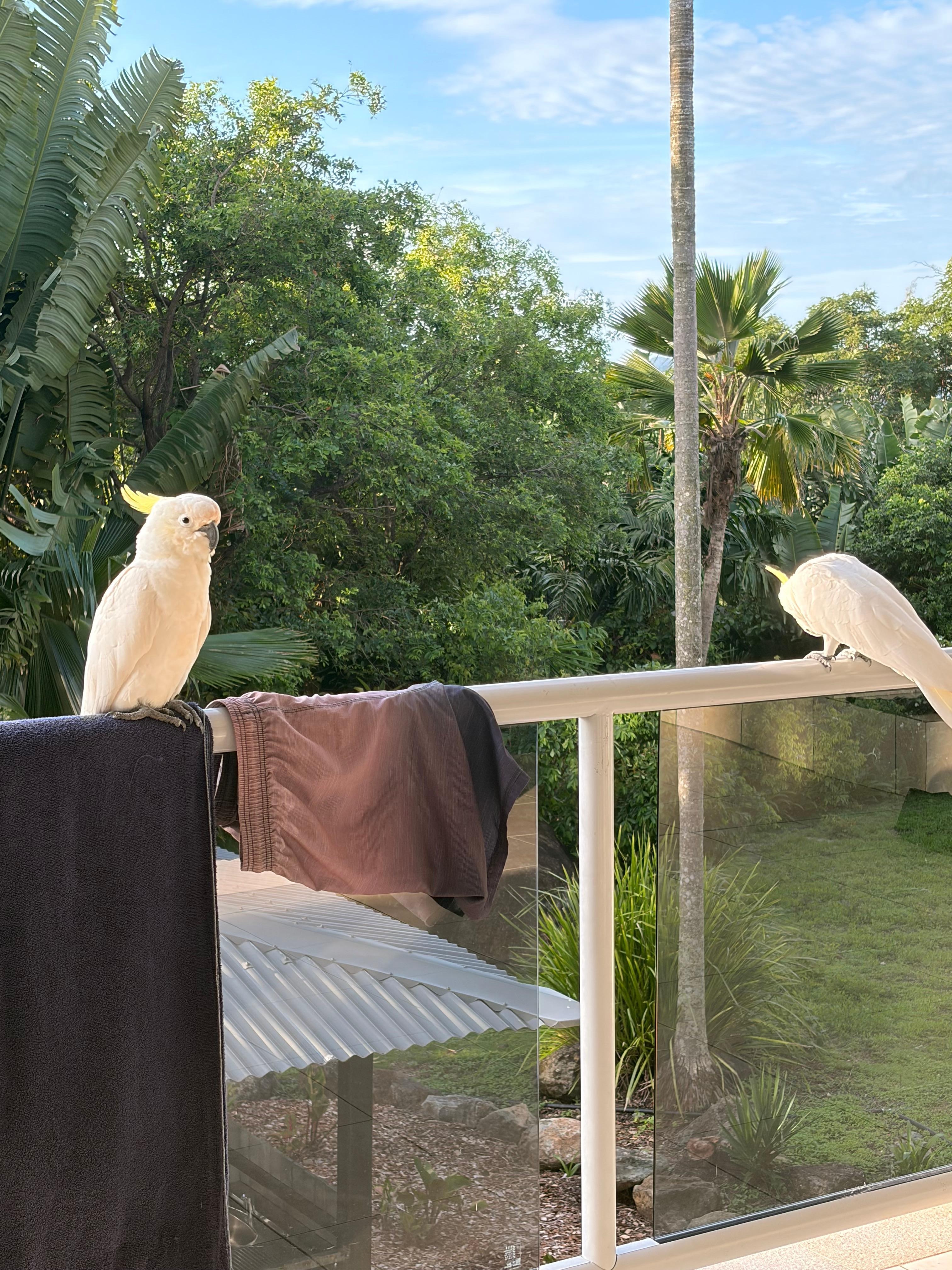 Great company but no view