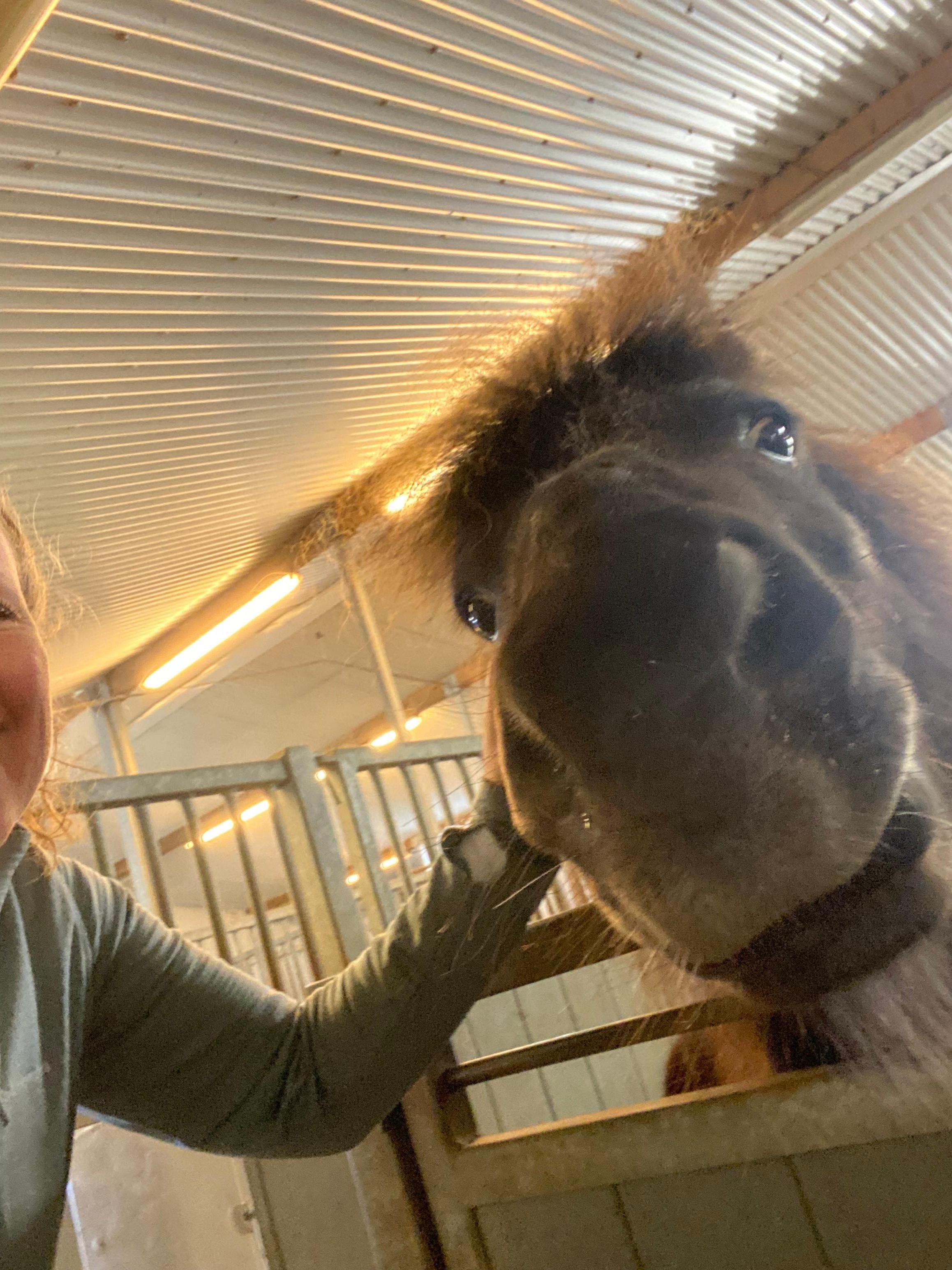Goofball 🥰
