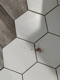 Other side of floor
