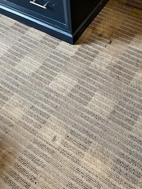 Stained, sticky, smelly carpet