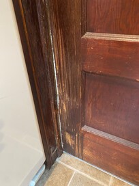 Other guests pets destroyed kitchen door