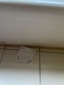 Another bug trap in kitchen