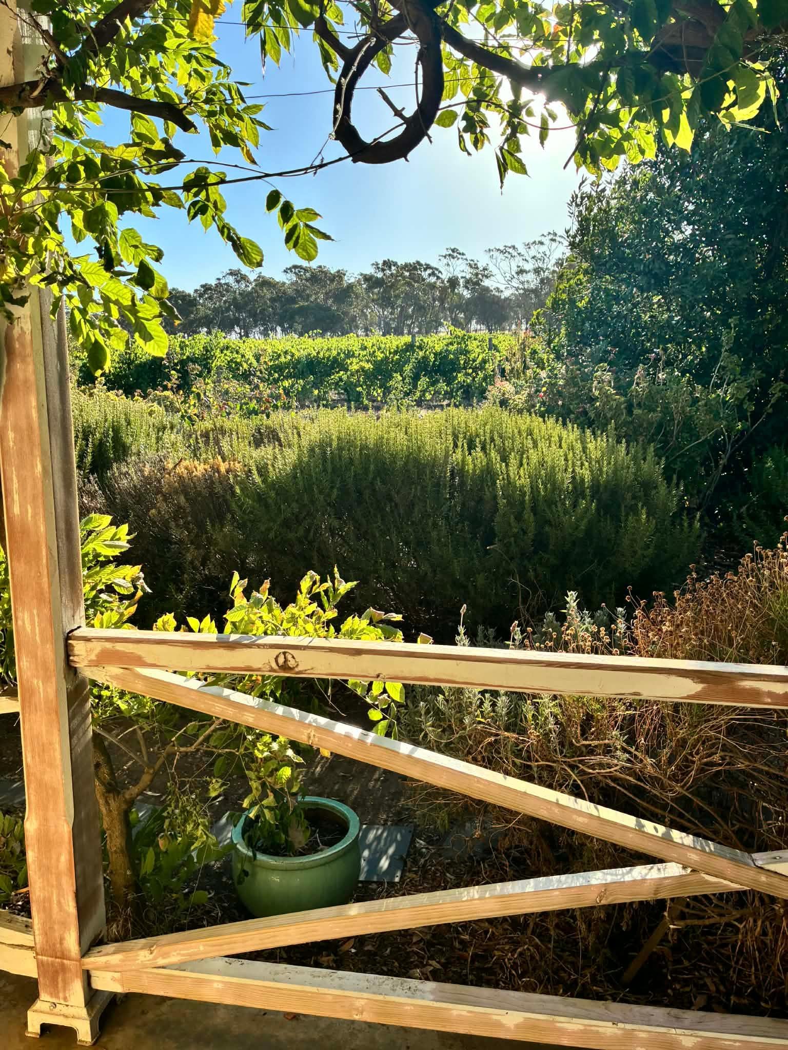 The view from the outside seated balcony, a place to sit with a glass of wine and reflect… ..surrounded by vineyards and birdsong. 