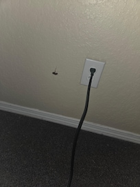 Cockroach roomate
