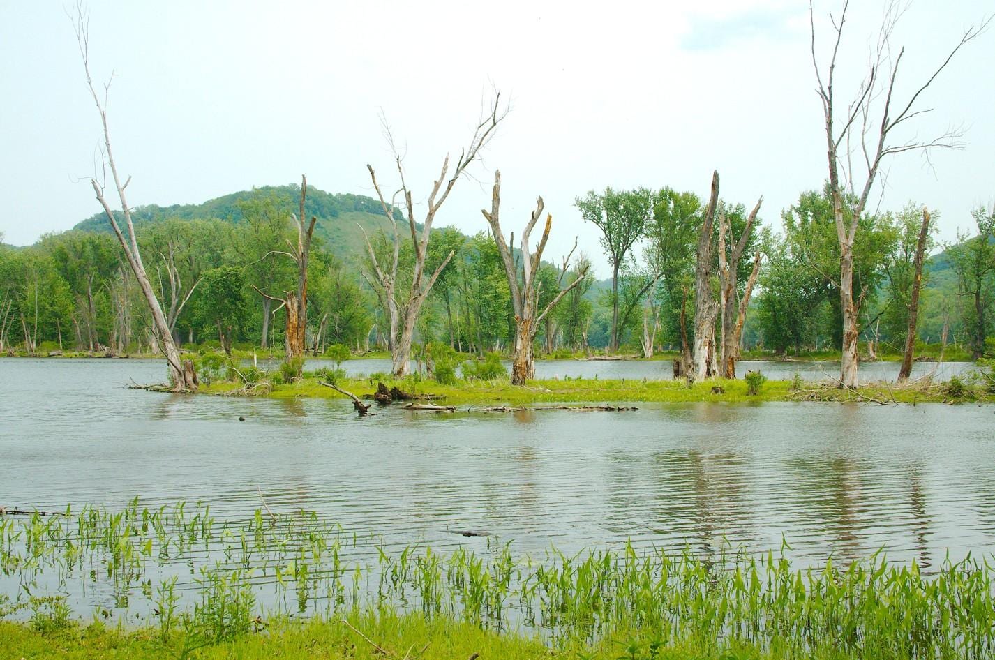 Blackhawk County Park nearby
