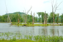 Blackhawk County Park nearby