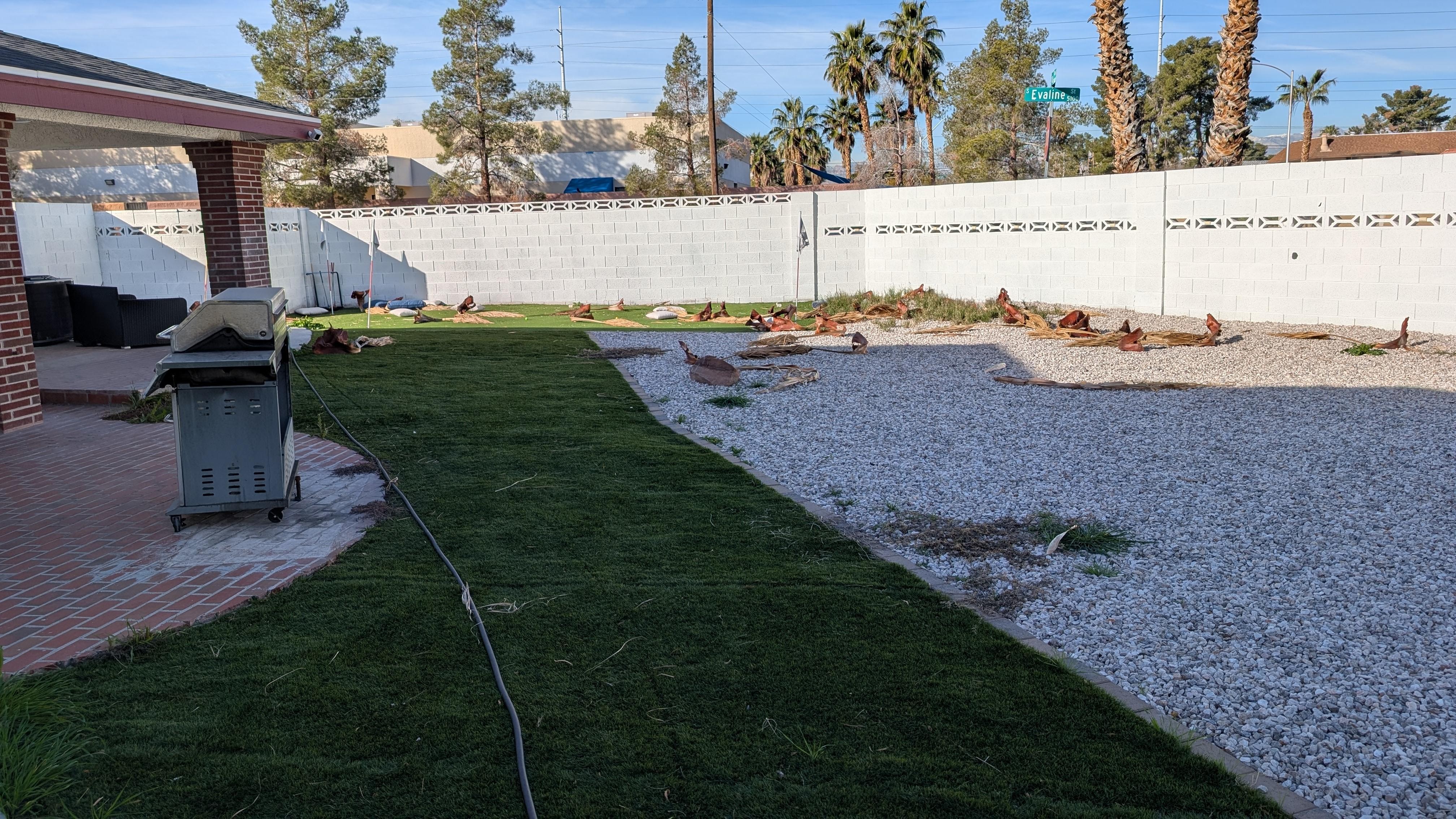 Backyard littered in palm branches