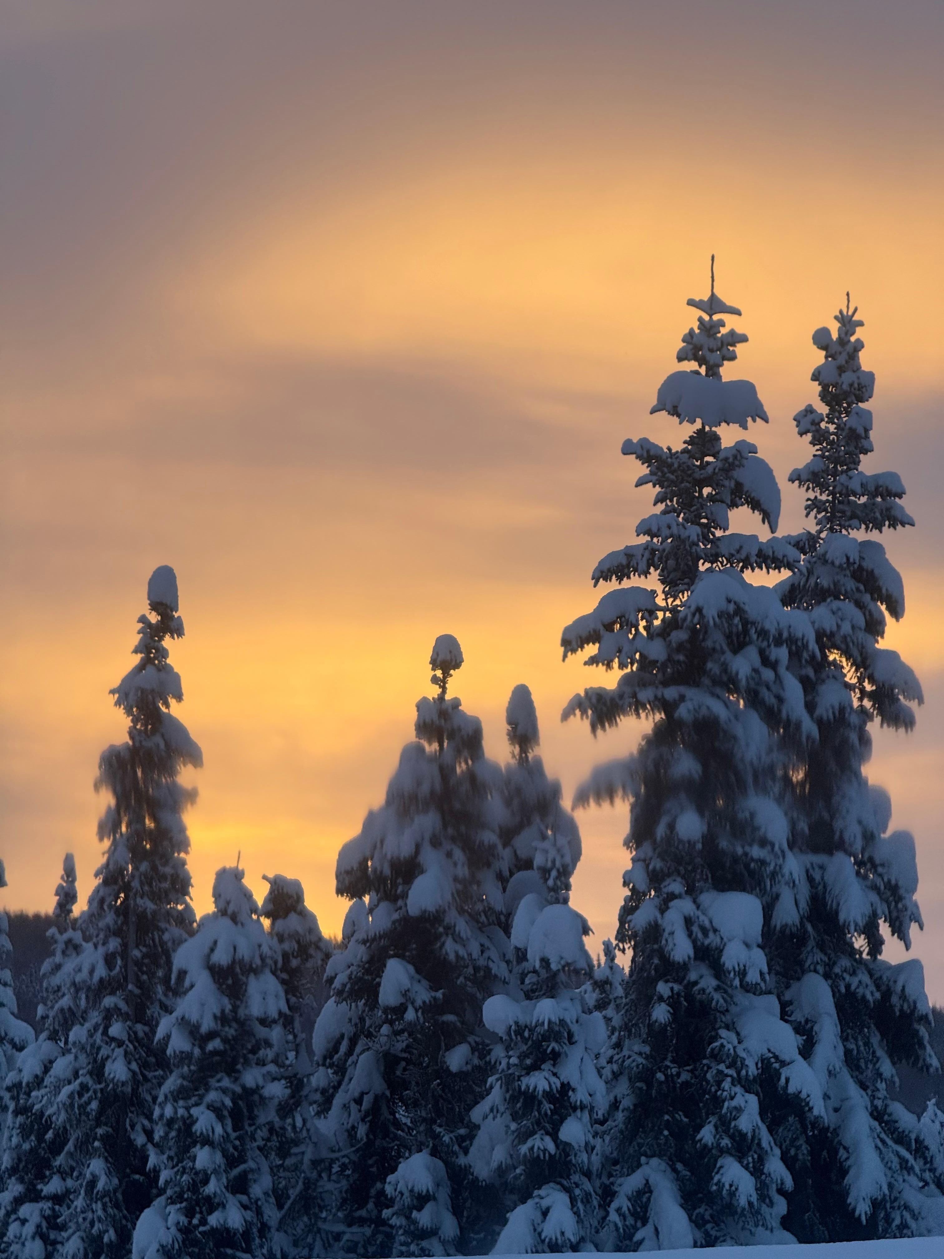 Sun peaking over horizon on short winter days. 