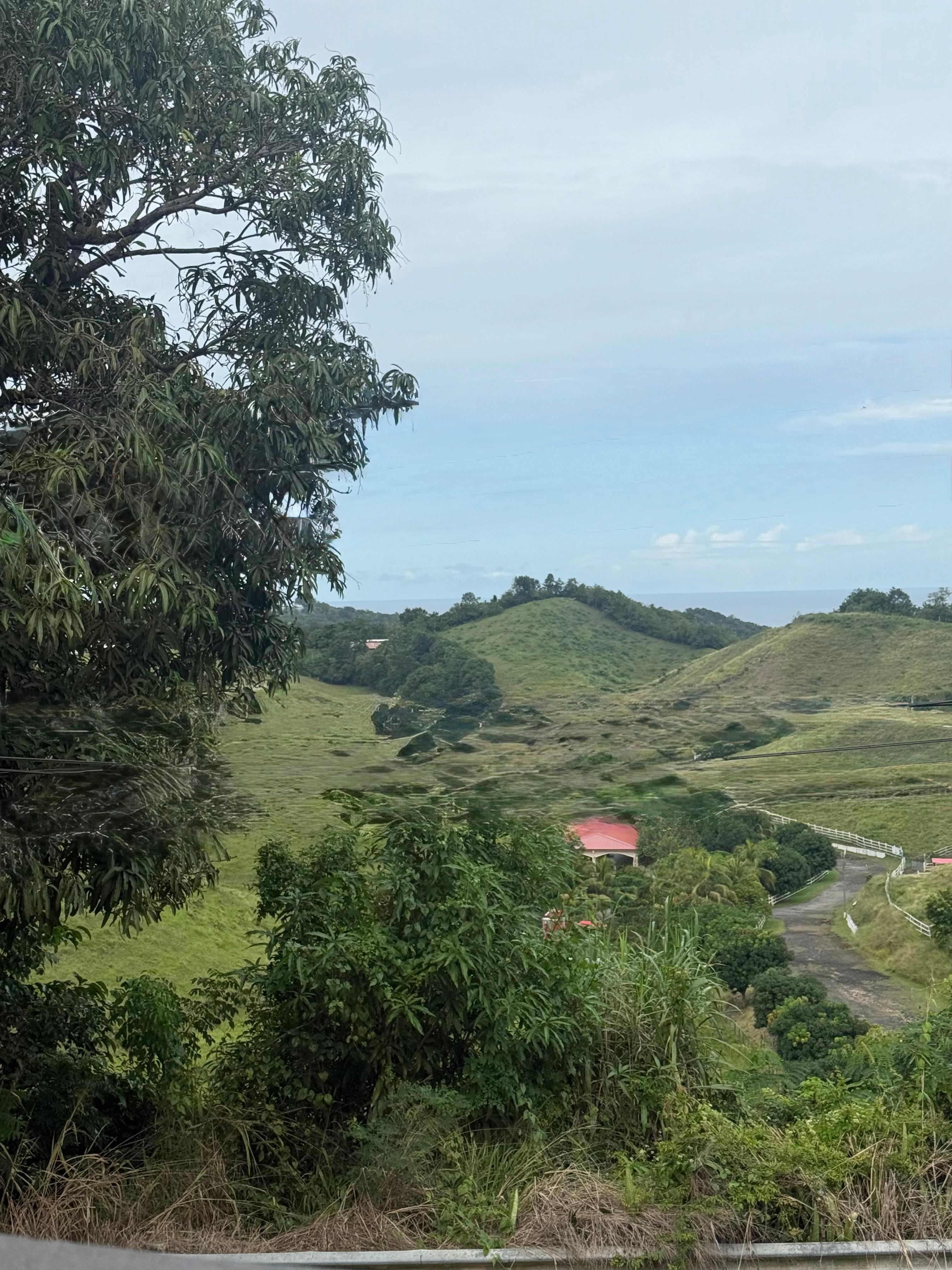 From the front balcony 