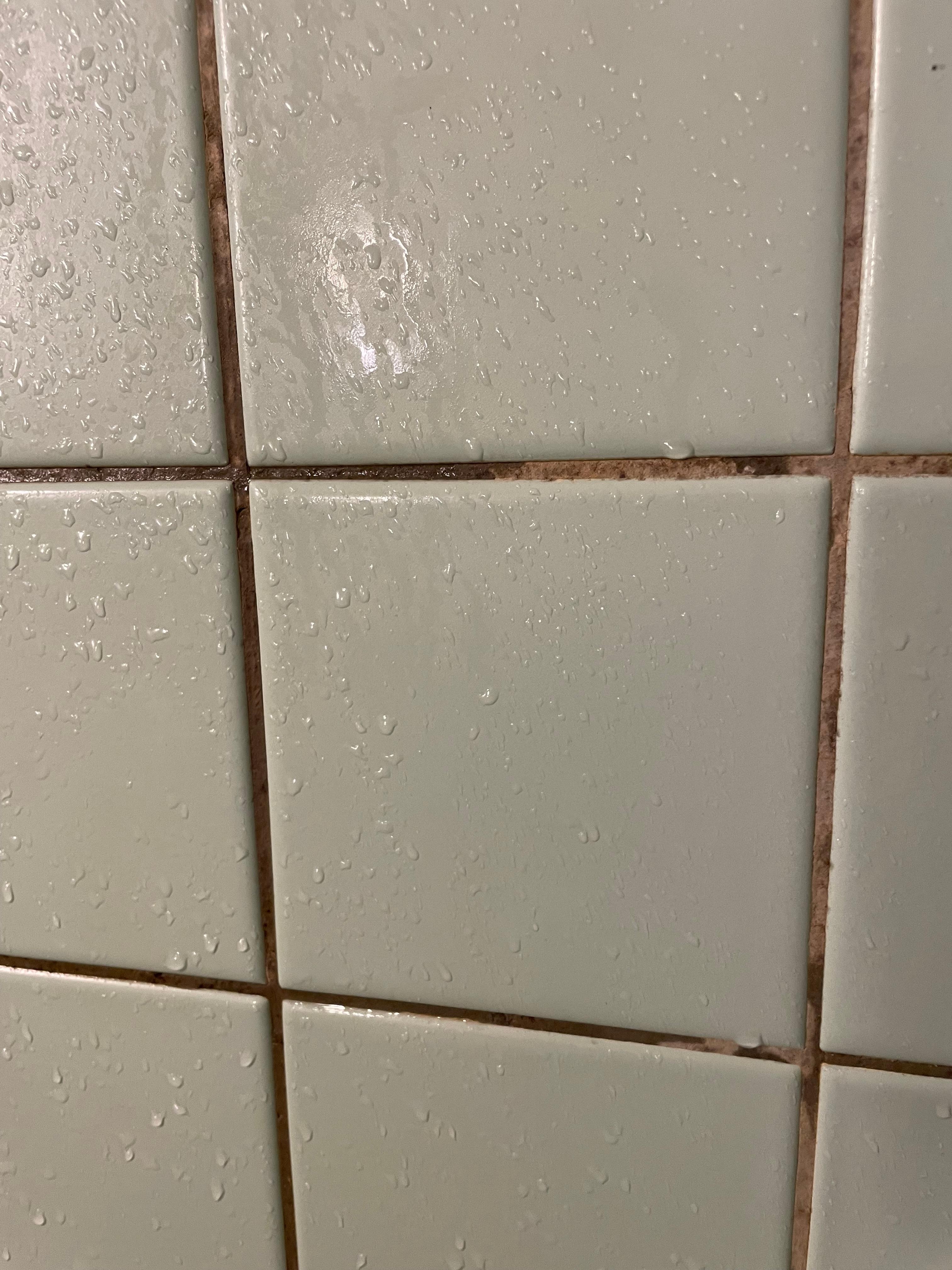 skimmel i alle fuger på badeværelset